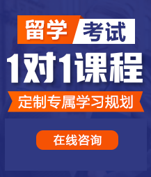 操逼骚逼骚奶网页留学考试一对一精品课